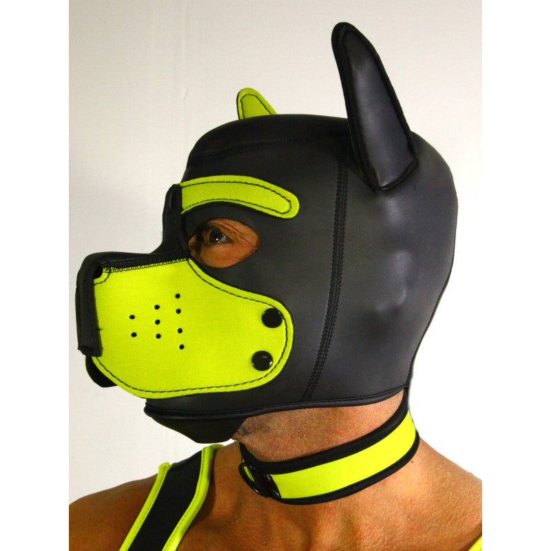 Kit Puppy Jaune : Masque Neoprene, collier, brassière & Harnais